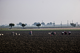 img03